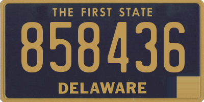 DE license plate 858436