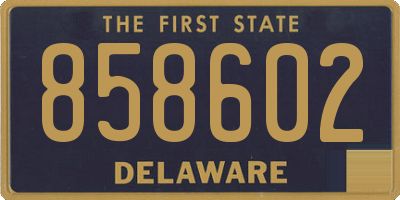DE license plate 858602