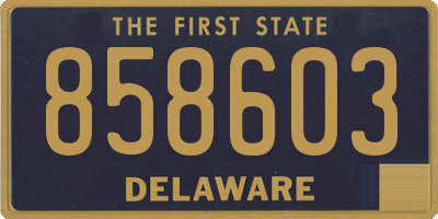 DE license plate 858603