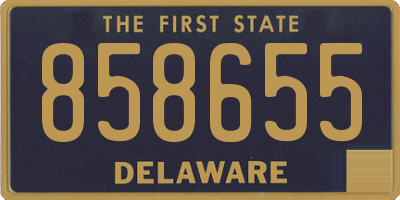DE license plate 858655