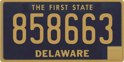 DE license plate 858663