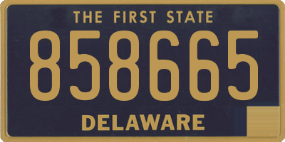 DE license plate 858665