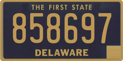 DE license plate 858697