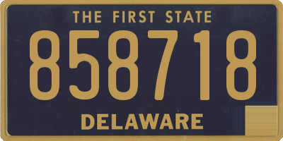 DE license plate 858718
