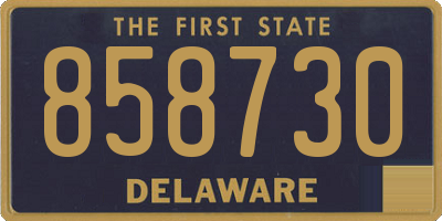 DE license plate 858730