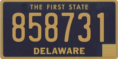 DE license plate 858731