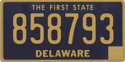 DE license plate 858793