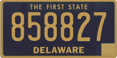DE license plate 858827