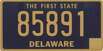 DE license plate 85891