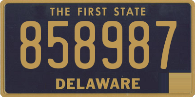 DE license plate 858987