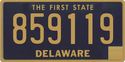 DE license plate 859119