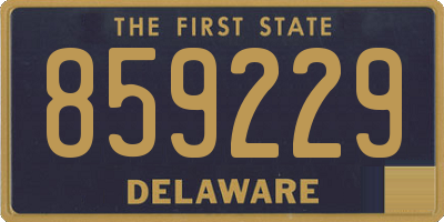 DE license plate 859229