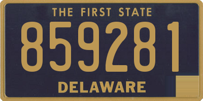 DE license plate 859281