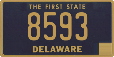 DE license plate 8593