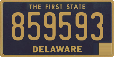 DE license plate 859593