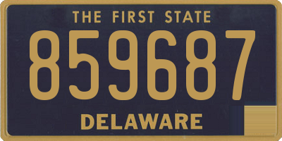 DE license plate 859687