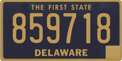 DE license plate 859718