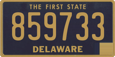 DE license plate 859733