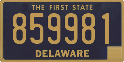 DE license plate 859981