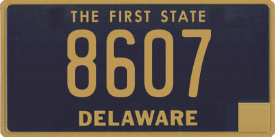 DE license plate 8607