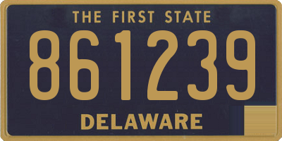 DE license plate 861239