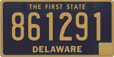 DE license plate 861291