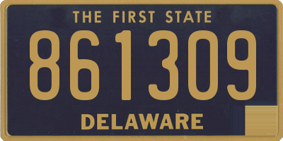 DE license plate 861309