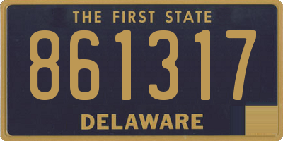 DE license plate 861317