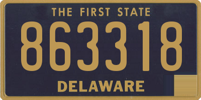 DE license plate 863318