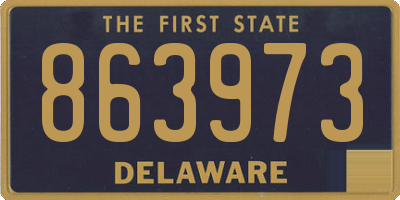 DE license plate 863973