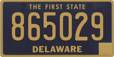 DE license plate 865029