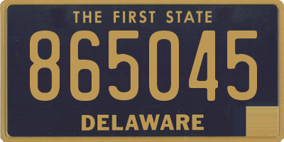 DE license plate 865045