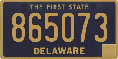 DE license plate 865073