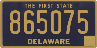DE license plate 865075