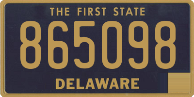 DE license plate 865098