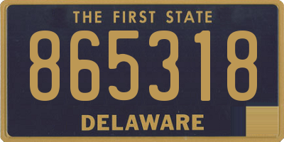 DE license plate 865318