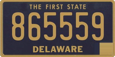 DE license plate 865559
