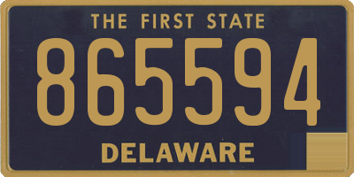 DE license plate 865594