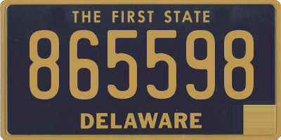 DE license plate 865598