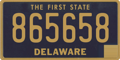 DE license plate 865658