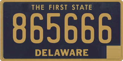 DE license plate 865666
