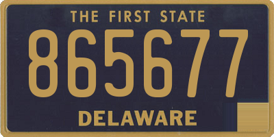 DE license plate 865677