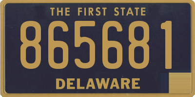 DE license plate 865681