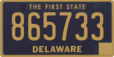 DE license plate 865733