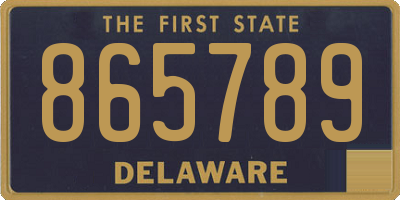 DE license plate 865789