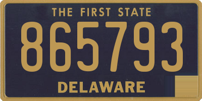 DE license plate 865793