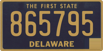 DE license plate 865795
