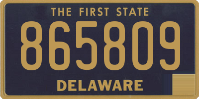 DE license plate 865809
