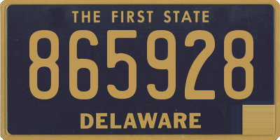 DE license plate 865928
