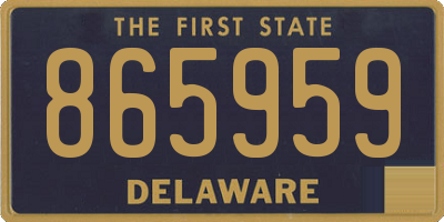 DE license plate 865959